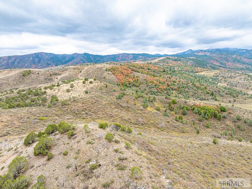 TBD S Pheasant Drive, LAVA HOT SPRINGS, Idaho image 4