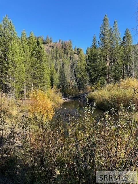 Vacant Land For Sale - TBD Napias Creek Road<br/> SALMON, ID 83467