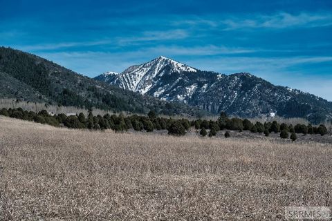 Photo of TBD Sumac Loop, IRWIN, ID 83428 (MLS # 2185426)
