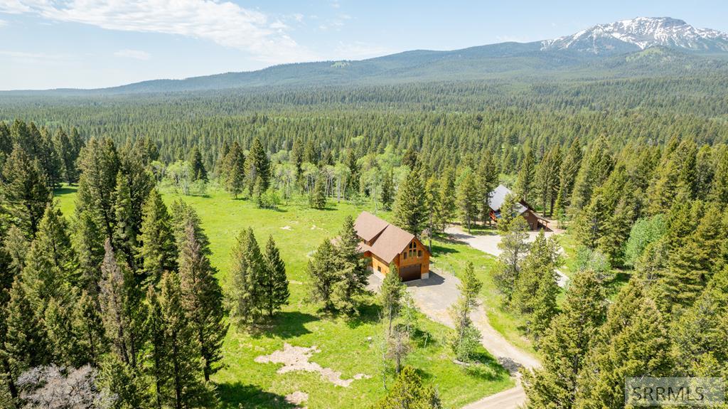 3936 Wise Owl Way, ISLAND PARK, Idaho image 3