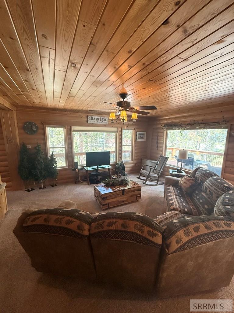 4248 Luke Lane, ISLAND PARK, Idaho image 22