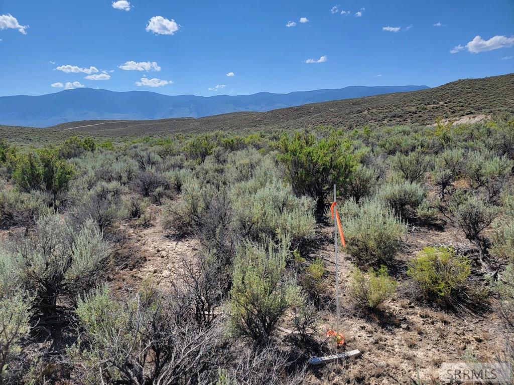 TBD Gold Valley Drive #LOT 2, SALMON, Idaho image 10