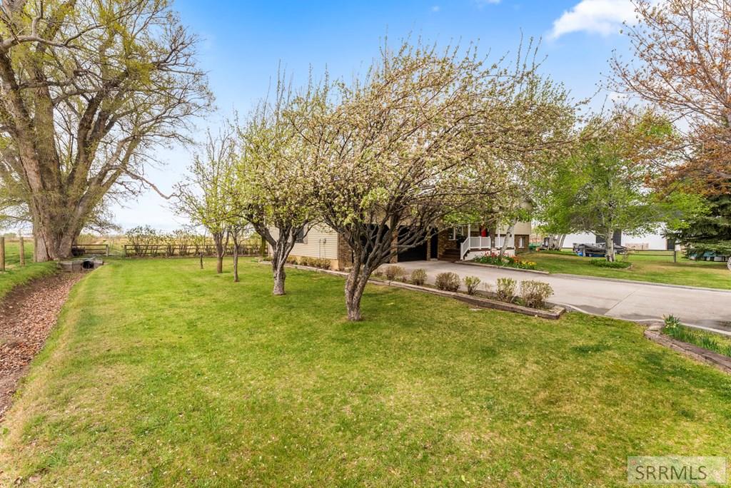 Rigby, Idaho, 83442, United States, 3 Bedrooms Bedrooms, ,3 BathroomsBathrooms,Residential,Active,2041790