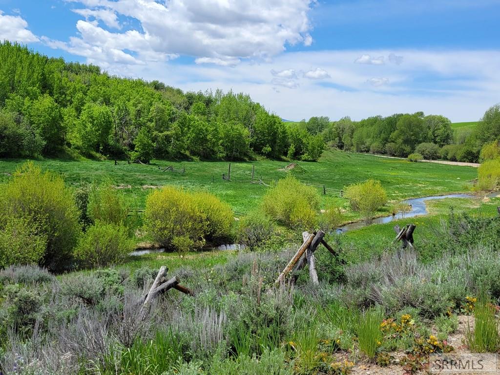 2695 12000 N, TETONIA, Idaho image 44
