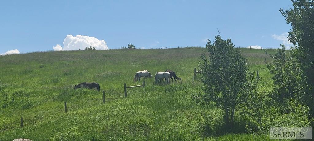 2695 12000 N, TETONIA, Idaho image 45