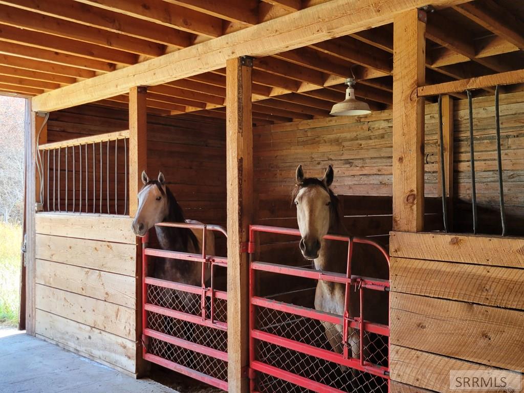 2695 12000 N, TETONIA, Idaho image 40