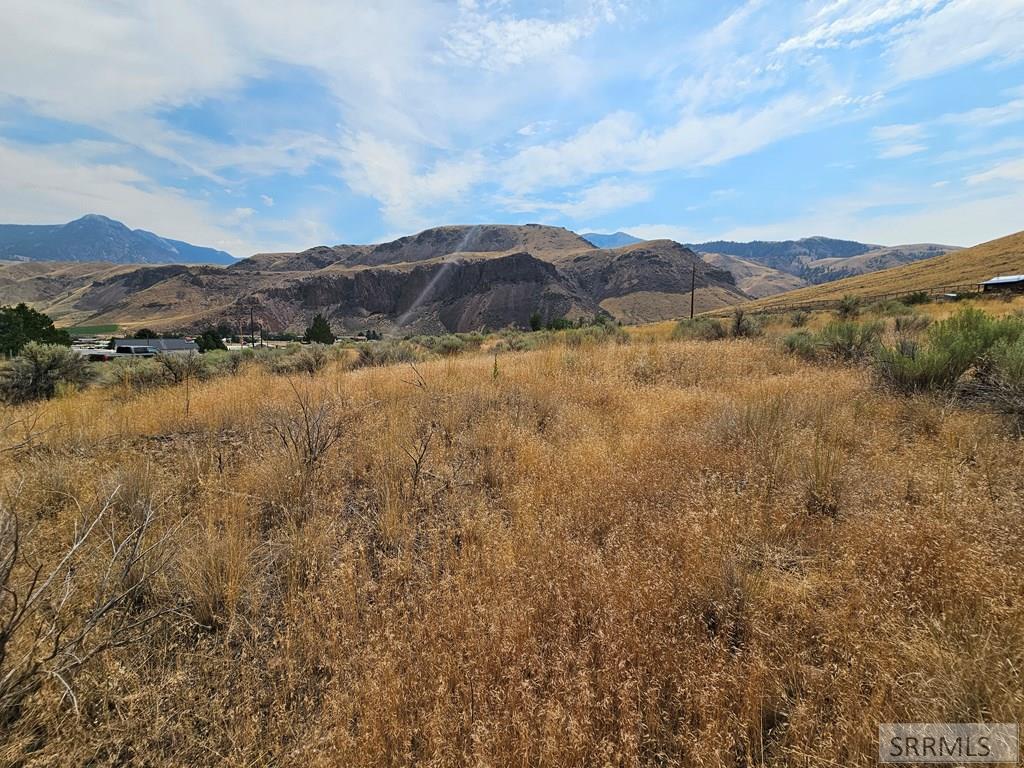 Nkn Pheasant Drive, SALMON, Idaho image 20