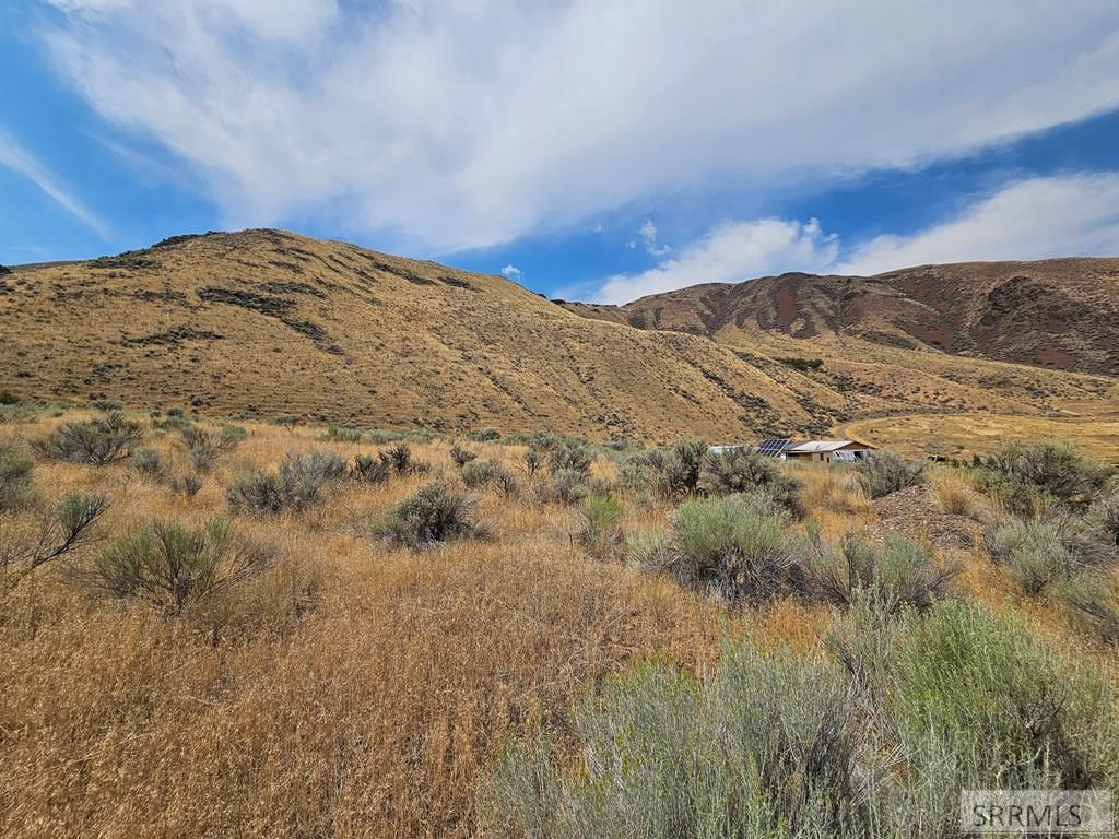 Nkn Pheasant Drive, SALMON, Idaho image 7