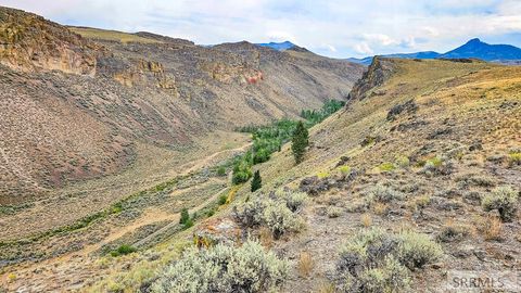Vacant Land For Sale - 4897 N Trail Creek Road<br/> MACKAY, ID 83251