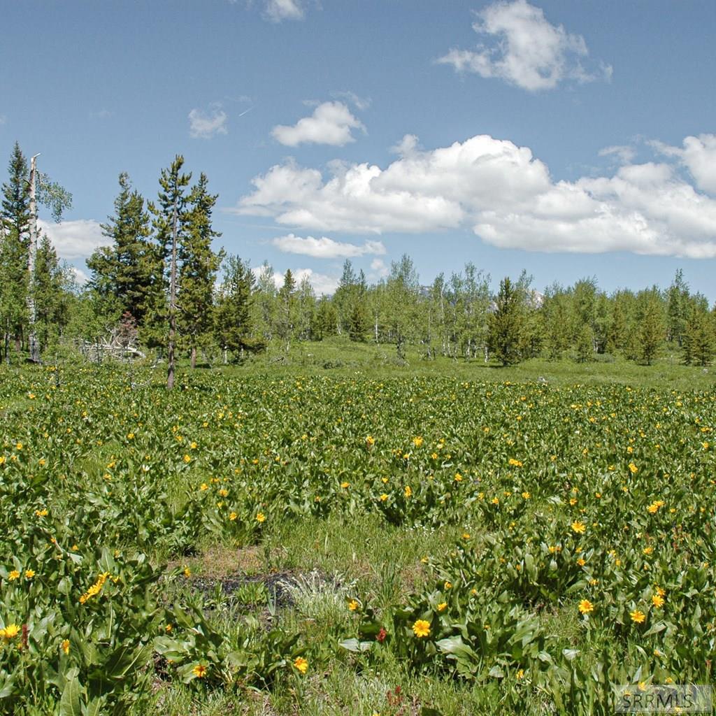 2819 NE Sage Hen Drive, ISLAND PARK, Idaho image 8