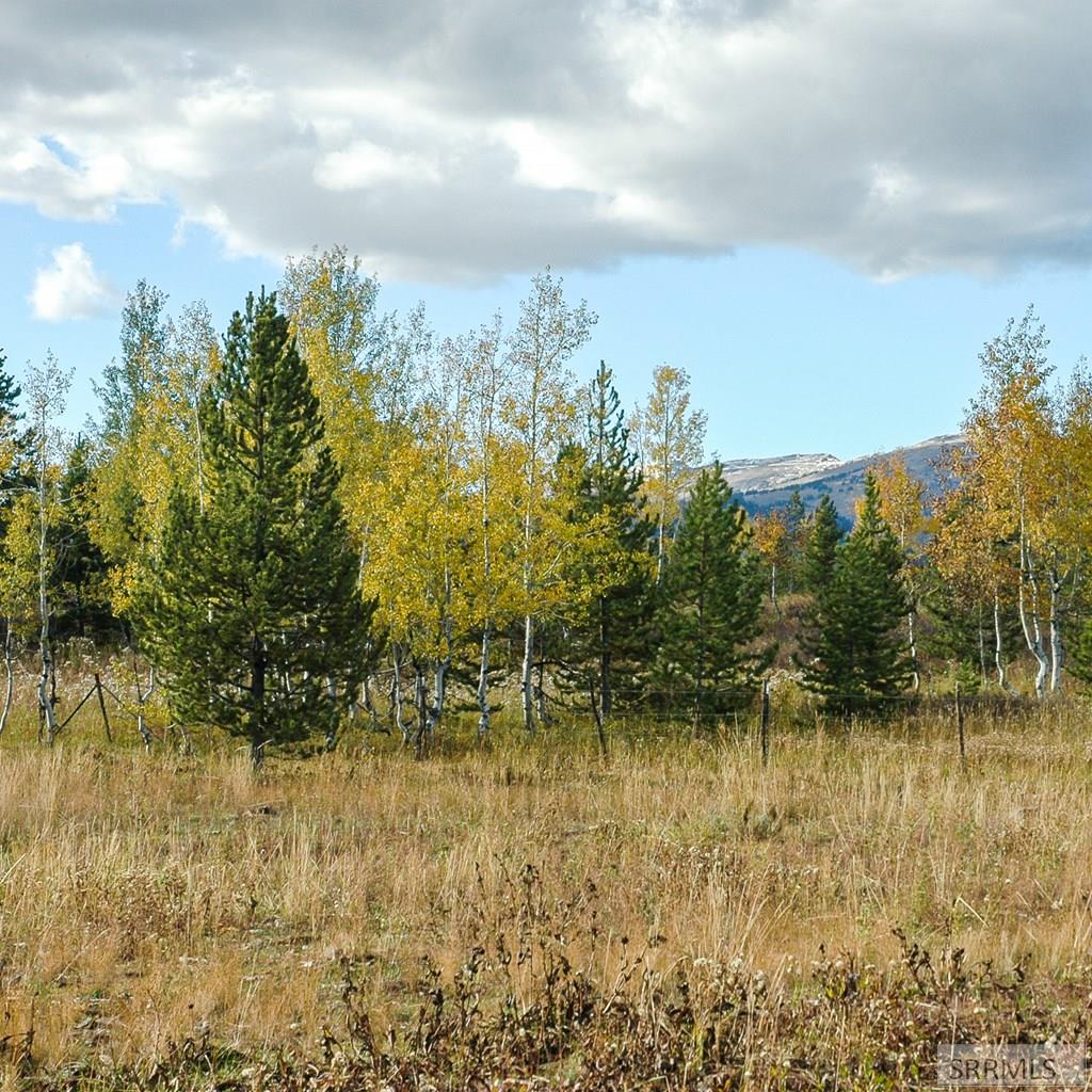 2819 NE Sage Hen Drive, ISLAND PARK, Idaho image 17