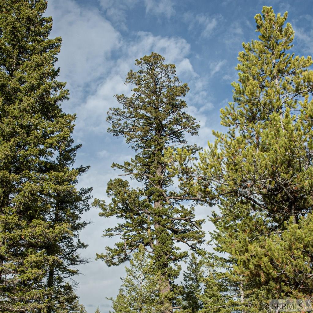 2819 NE Sage Hen Drive, ISLAND PARK, Idaho image 22