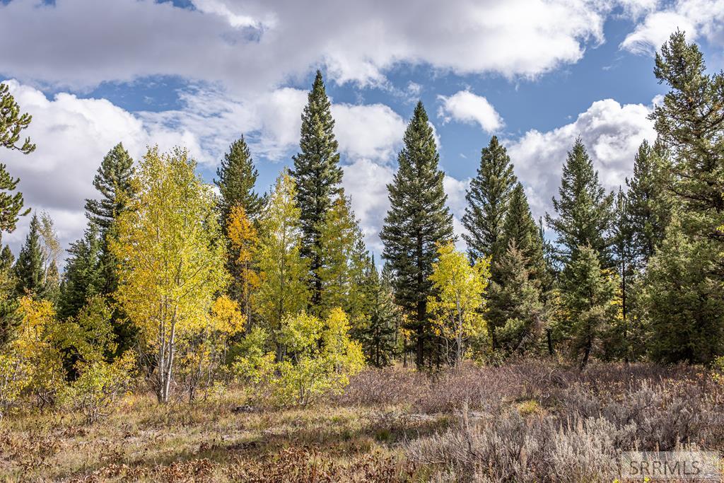2819 NE Sage Hen Drive, ISLAND PARK, Idaho image 1