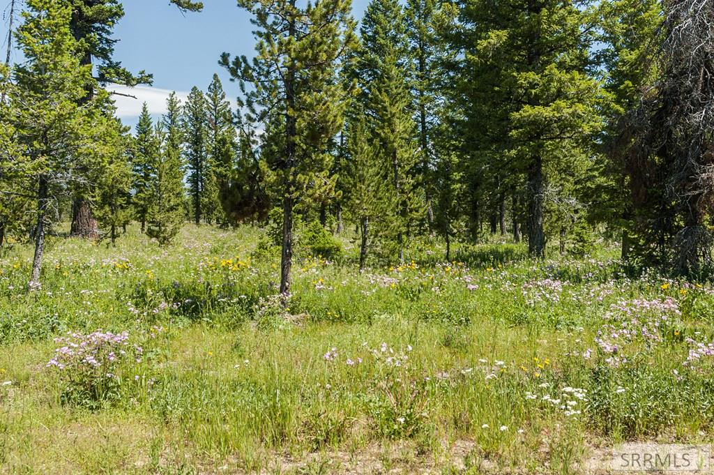 2819 NE Sage Hen Drive, ISLAND PARK, Idaho image 13