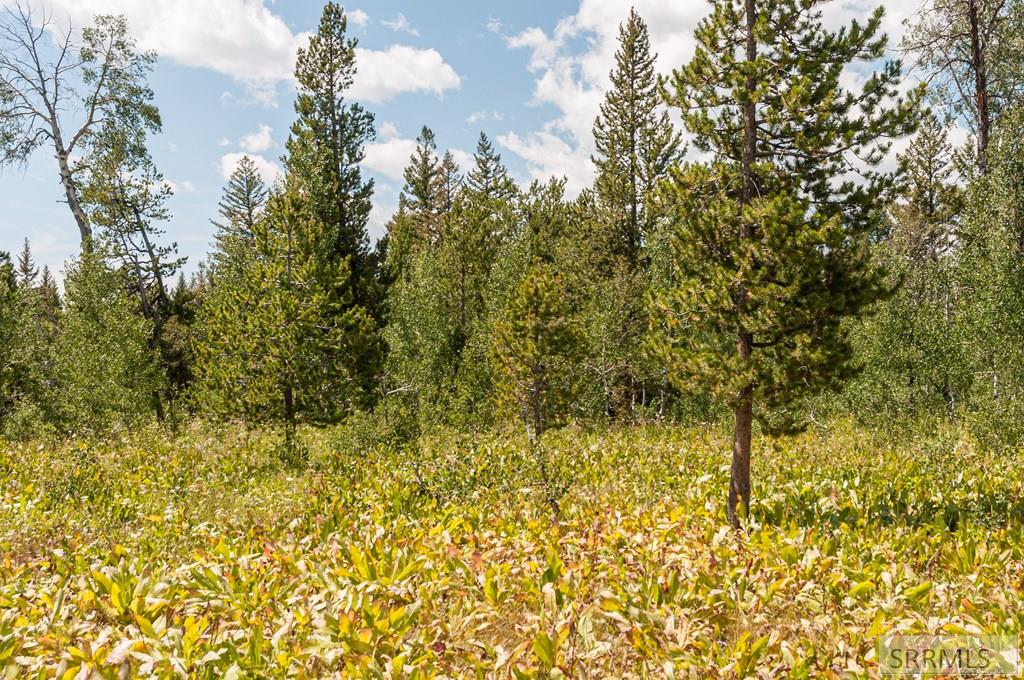 2819 NE Sage Hen Drive, ISLAND PARK, Idaho image 9