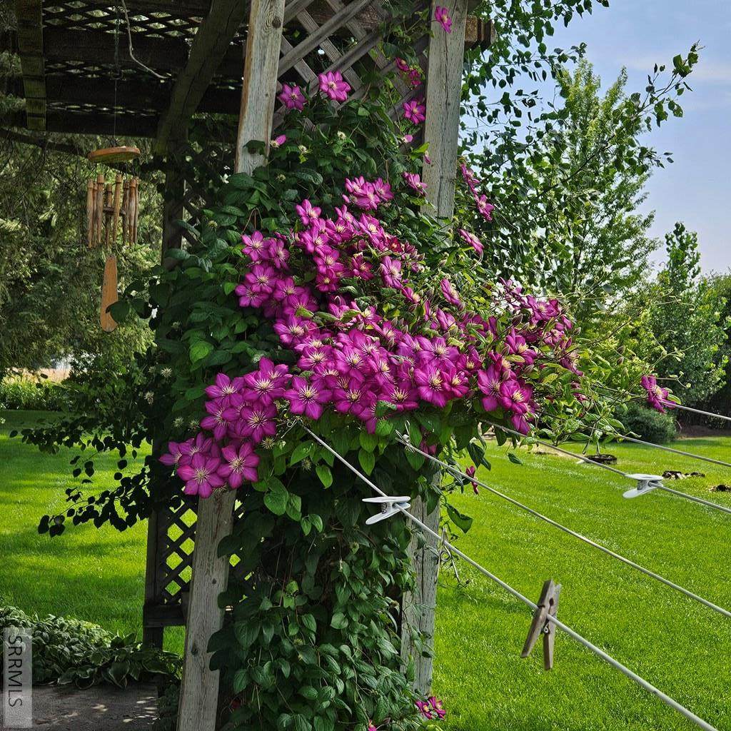 4397 E 500 N, RIGBY, Idaho image 49