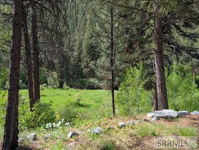 7 E Sheep Creek Loop, NORTH FORK, Idaho image 35
