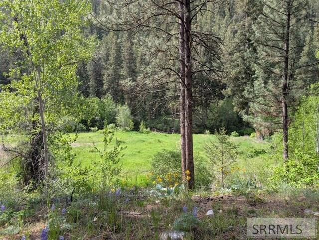 7 E Sheep Creek Loop, NORTH FORK, Idaho image 33