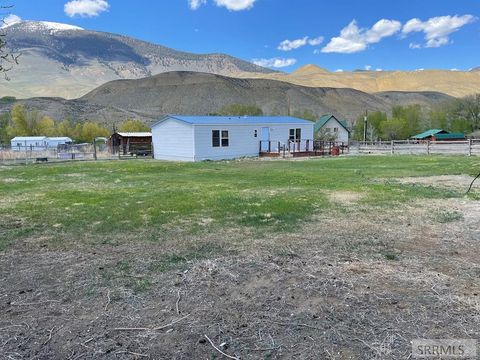 Homes For Sale - 23496 Hwy 75<br/> CHALLIS, ID 83226
