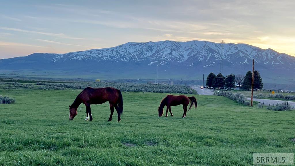 Lot A Jensen Road, MCCAMMON, Idaho image 1