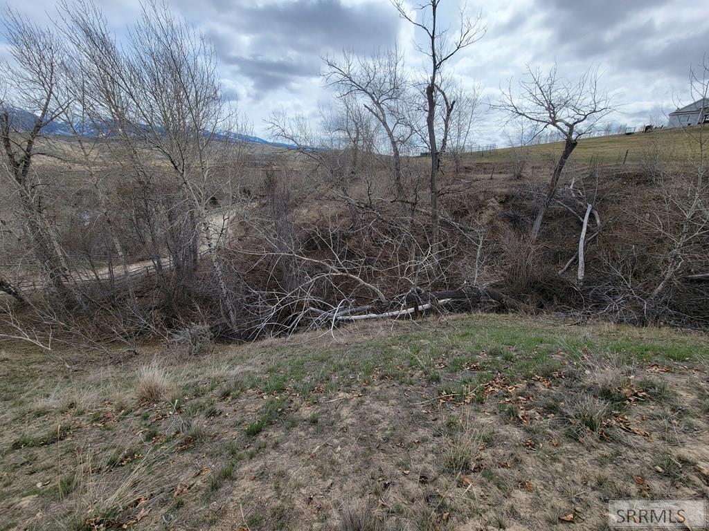 Lot 14 Diamond Creek Road, SALMON, Idaho image 29