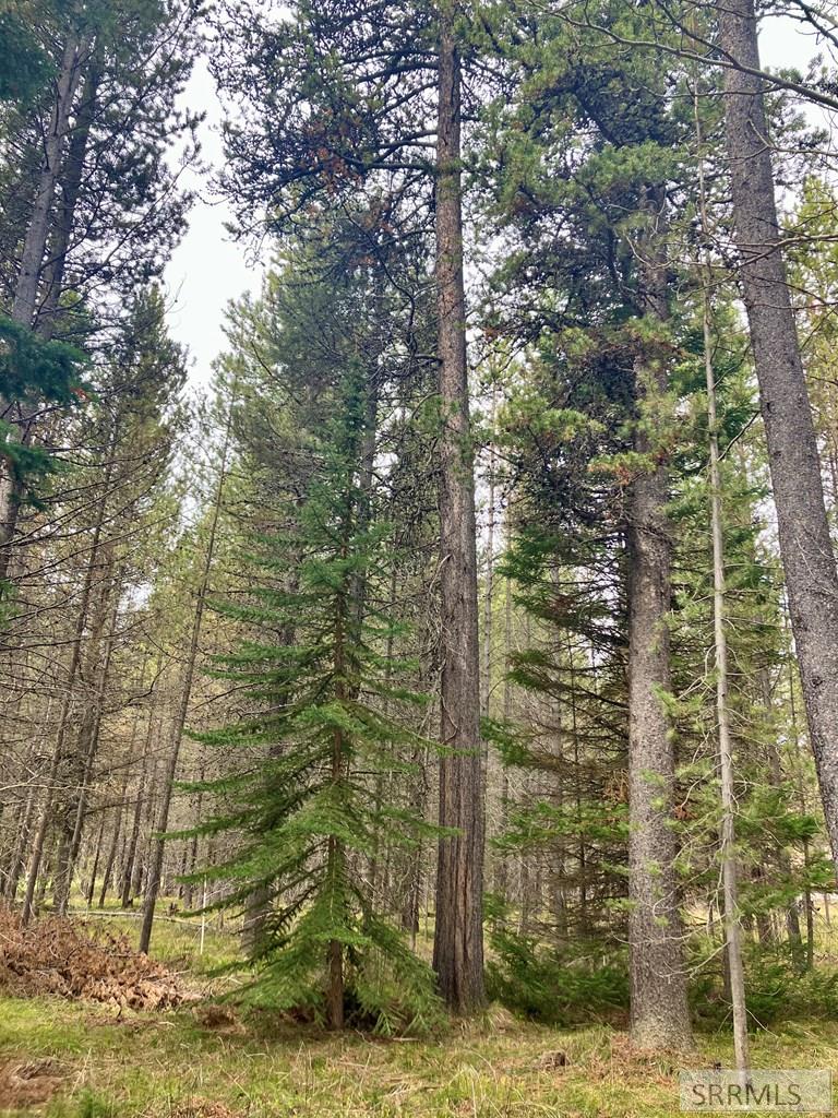 TBD Antelope Drive, ISLAND PARK, Idaho image 13