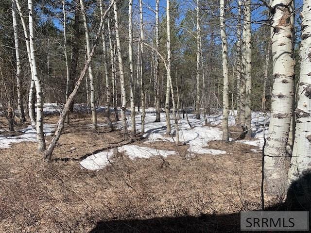 4336 Brodys Bend, ASHTON, Idaho image 36