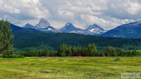 Vacant Land For Sale - 1990 Snow Crest Ranch Drive<br/> DRIGGS, ID 83422