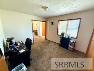 3149 Old Castle Lane, IDAHO FALLS, Idaho image 28