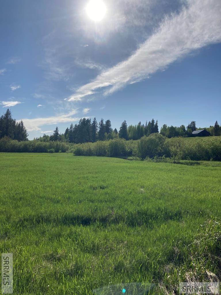 4331 Bridger Ridge, ASHTON, Idaho image 13