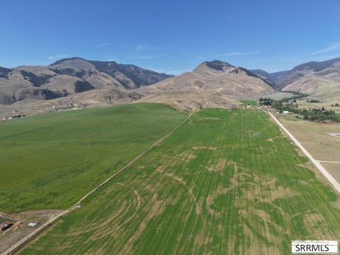 Vacant Land For Sale - LOT BDE Williams Creek Road<br/> SALMON, ID 83467