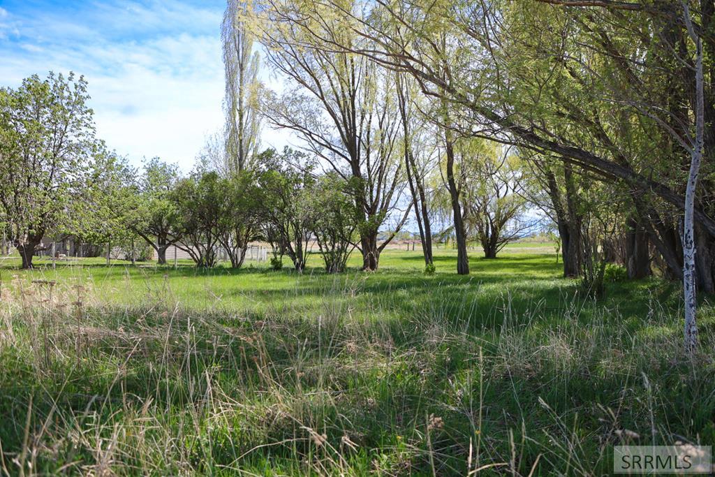 777 Hwy 39, BLACKFOOT, Idaho image 32