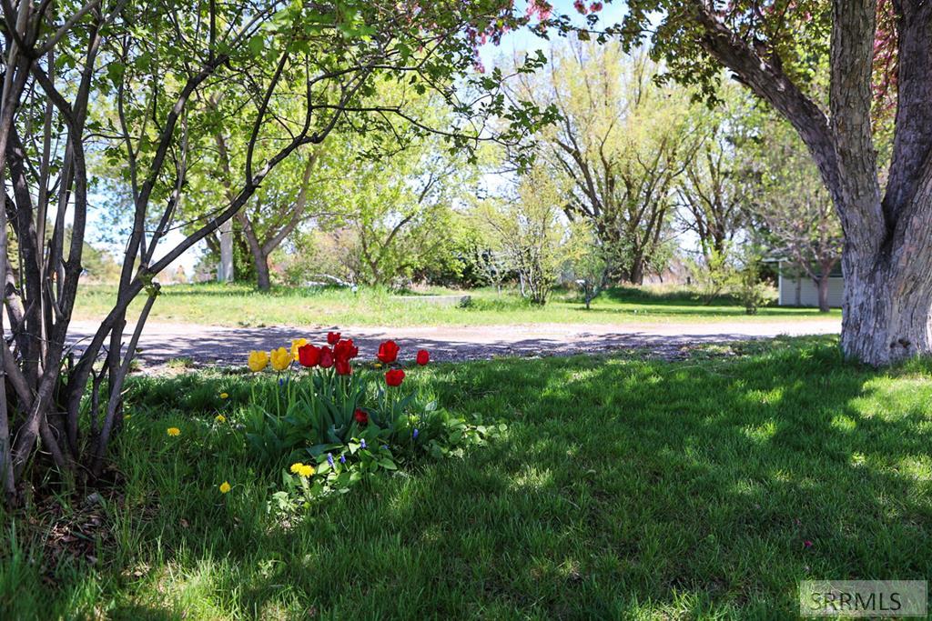 777 Hwy 39, BLACKFOOT, Idaho image 30