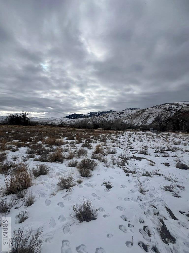 4518 Cottonwood Grove Rd, MACKAY, Idaho image 11
