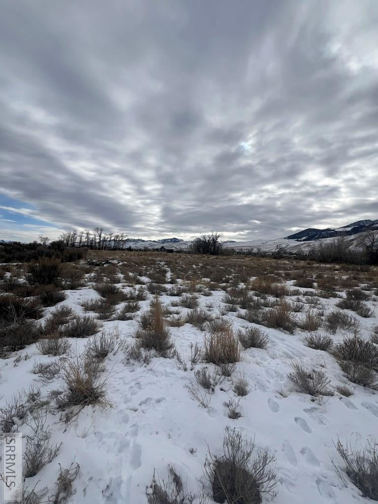 4518 Cottonwood Grove Rd, MACKAY, Idaho image 10