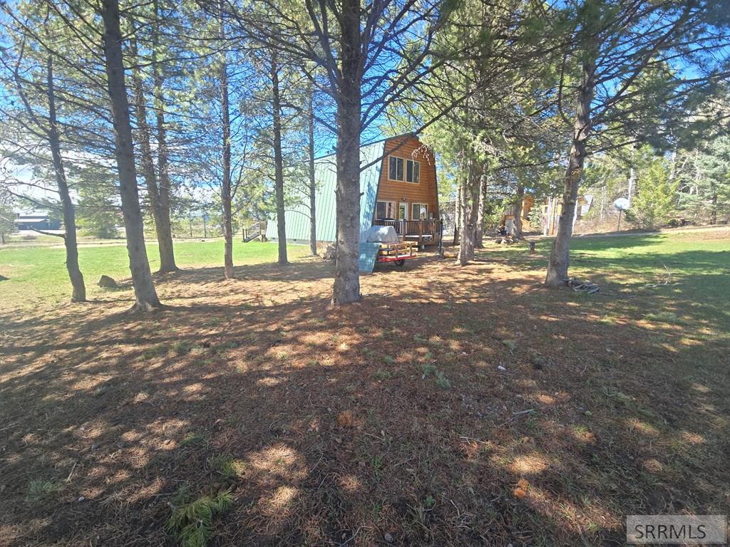 3318 Last Chance Drive, ISLAND PARK, Idaho image 40