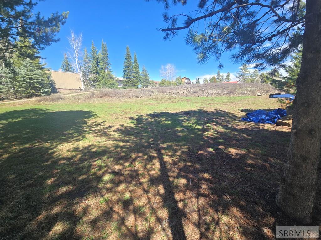 3318 Last Chance Drive, ISLAND PARK, Idaho image 39