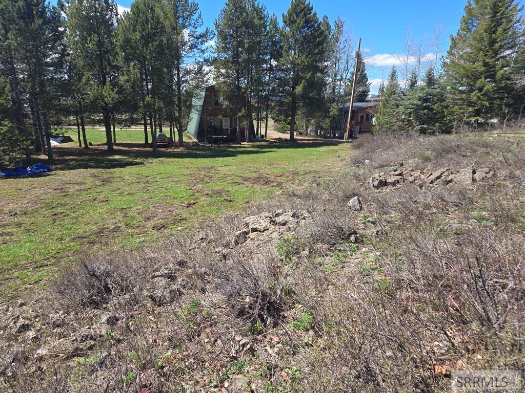 3318 Last Chance Drive, ISLAND PARK, Idaho image 30