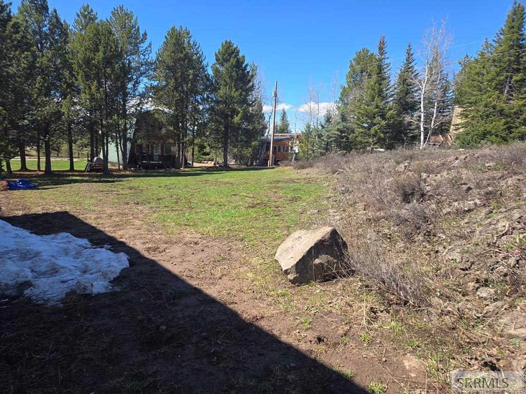 3318 Last Chance Drive, ISLAND PARK, Idaho image 31