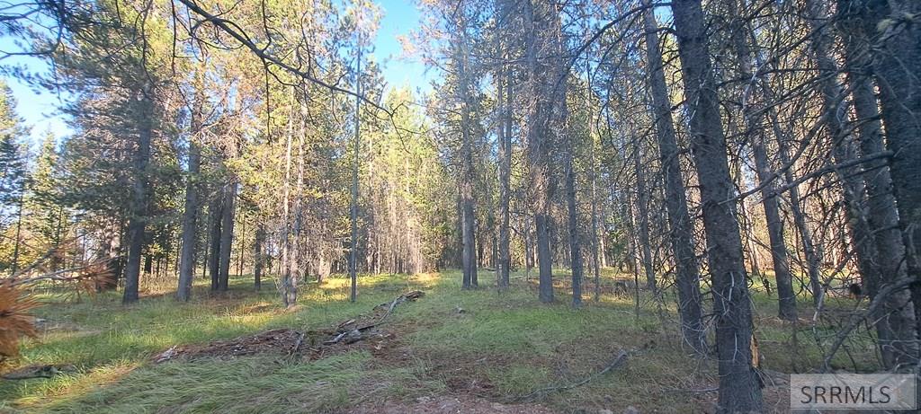 3949 Cowan Road, ISLAND PARK, Idaho image 4