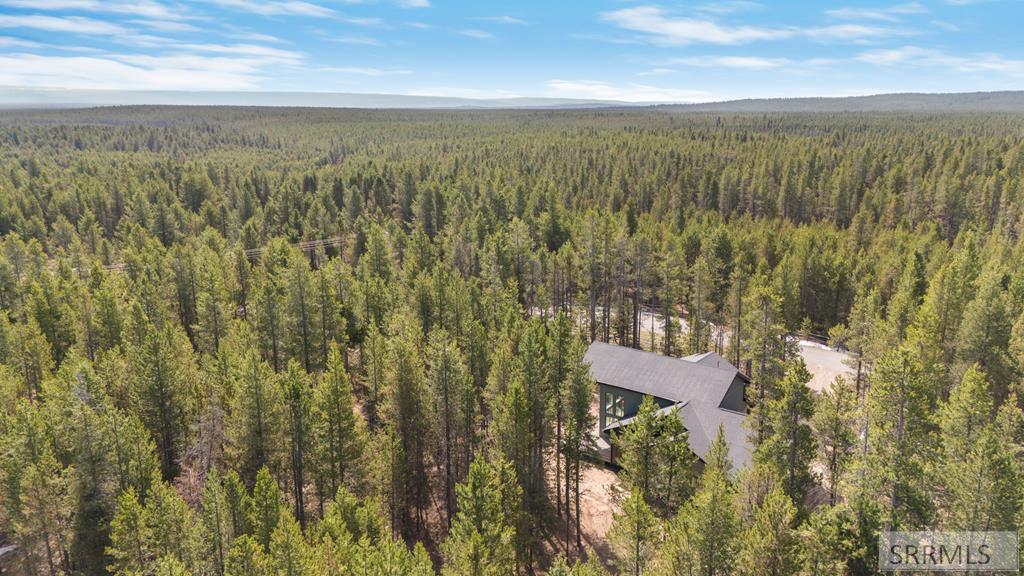 3949 Cowan Road, ISLAND PARK, Idaho image 47