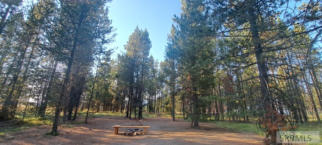 3949 Cowan Road, ISLAND PARK, Idaho image 3