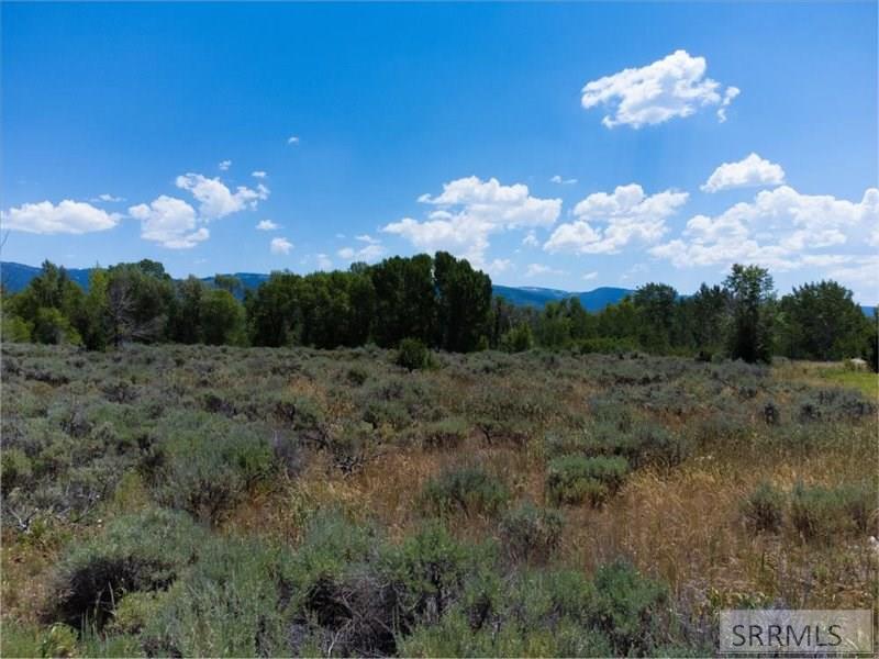 TBD Ski Hill Road, DRIGGS, Idaho image 6