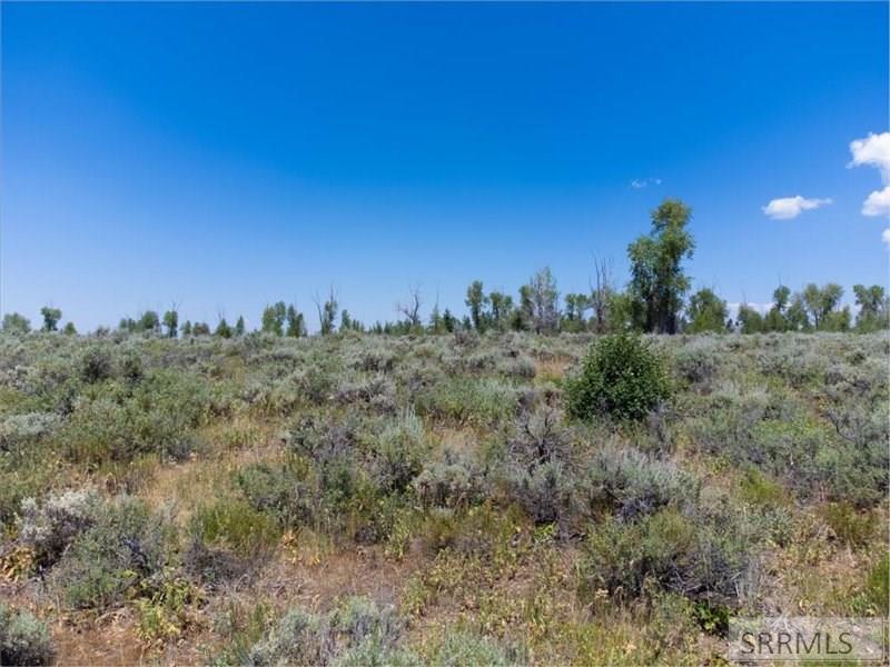 TBD Ski Hill Road, DRIGGS, Idaho image 8