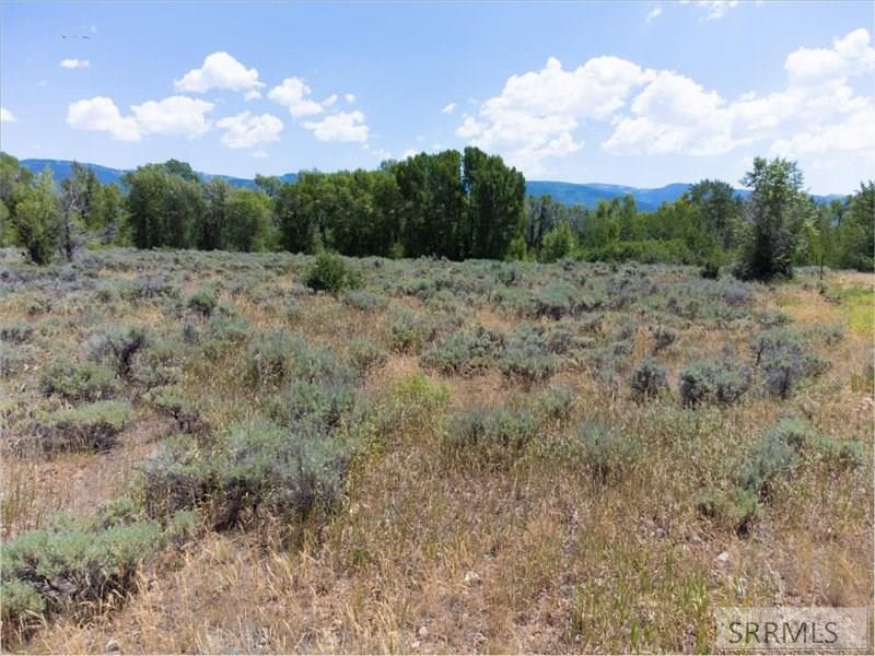 TBD Ski Hill Road, DRIGGS, Idaho image 12