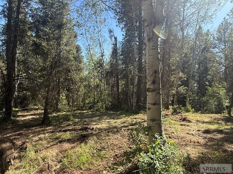 Vacant Land For Sale - 4376 Granite Ridge<br/> Fremont County, ASHTON, ID 83420