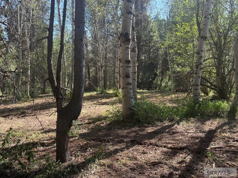 Vacant Land For Sale - 4376 Granite Ridge<br/> ASHTON, ID 83420