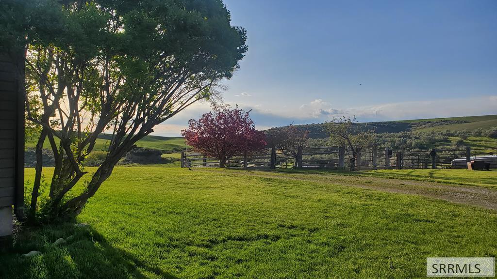 525 Birch Creek Road, RIRIE, Idaho image 12