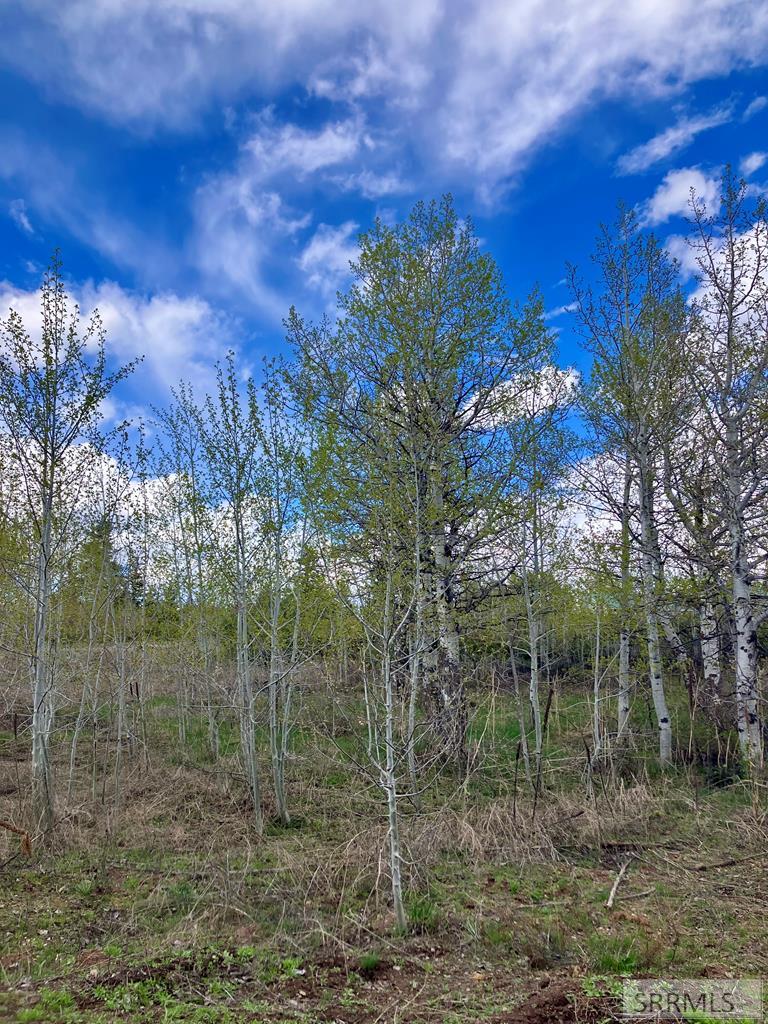 TBD Aspen Heights Drive, ASHTON, Idaho image 27
