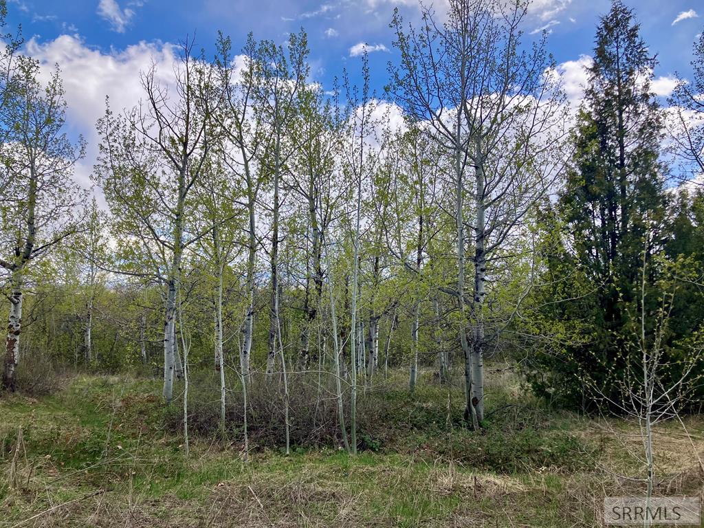 TBD Aspen Heights Drive, ASHTON, Idaho image 28